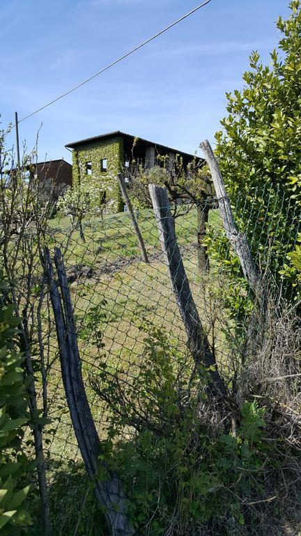 La Torretta - Cerreto Grue Bed & Breakfast Sarezzano Exterior photo